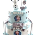 Frozen <br>