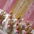 İsme özel Pleksi Çubuklu Cake pops<br>